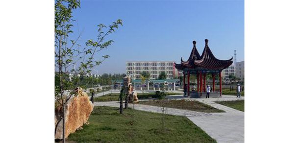 我的大學(xué)-大學(xué)志