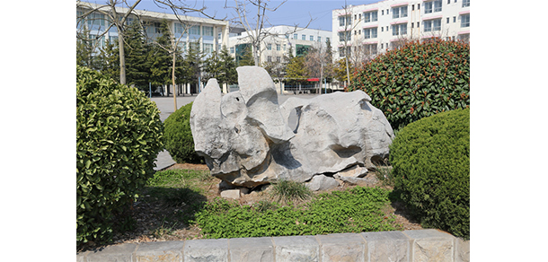 我的大學(xué)-大學(xué)志