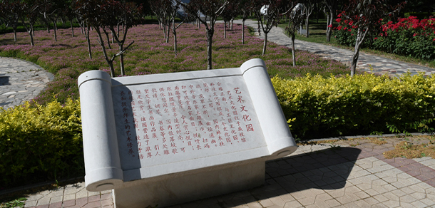 我的大學(xué)-大學(xué)志
