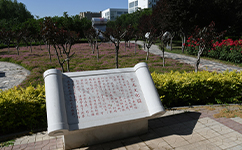 歷史沿革(概)校史