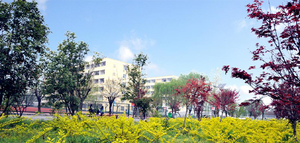 我的大學(xué)-大學(xué)志