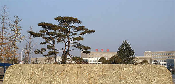 我的大學(xué)-大學(xué)志