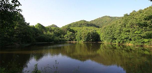 信陽航空職業(yè)學院 - 最美大學