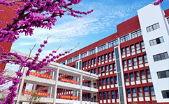 鄭州電子商務(wù)職業(yè)學院 - 我的大學