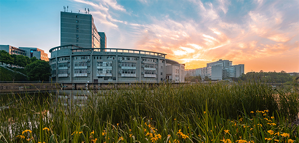 我的大學(xué)-大學(xué)志