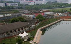 歷史沿革(概)校史