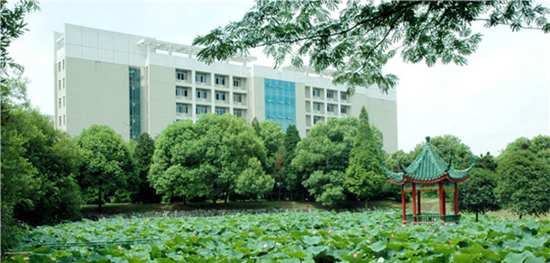 我的大學(xué)-大學(xué)志