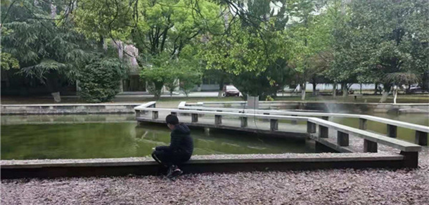 我的大學(xué)-大學(xué)志