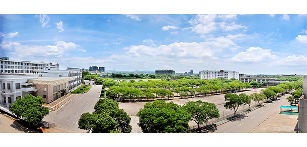 我的大學(xué)-大學(xué)志