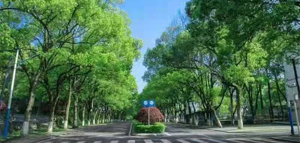 2022年招生分?jǐn)?shù)