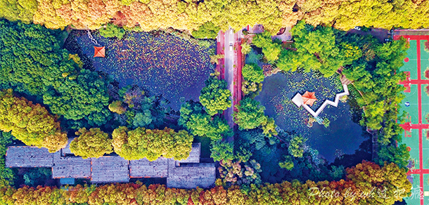 華中科技大學 - 最美大學
