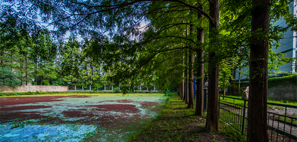 湖北大學知行學院 - 最美大學