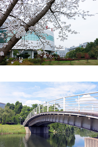 歲月流金 · 青春不散場
