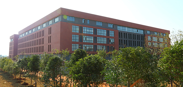 我的大學(xué)-大學(xué)志