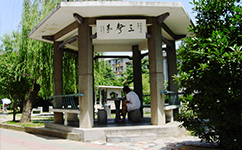 歷史沿革(概)校史