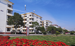 歷史沿革(概)校史