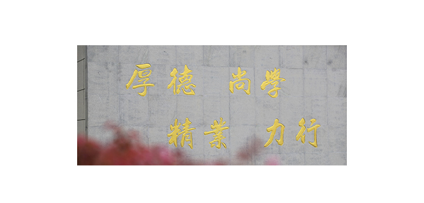 武漢信息傳播職業(yè)技術學院 - 最美大學