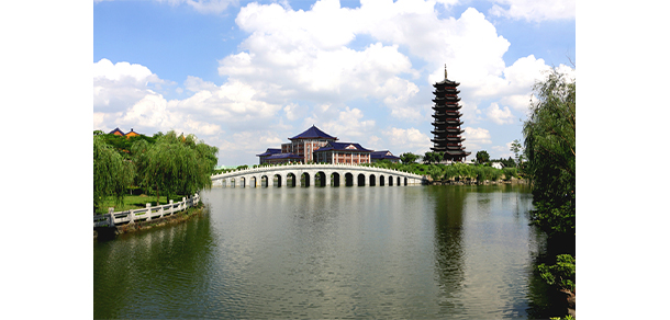 我的大學(xué)-大學(xué)志