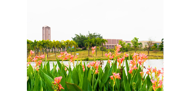 我的大學(xué)-大學(xué)志