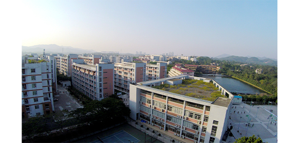 我的大學(xué)-大學(xué)志