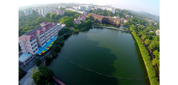 我的大學(xué)-大學(xué)志