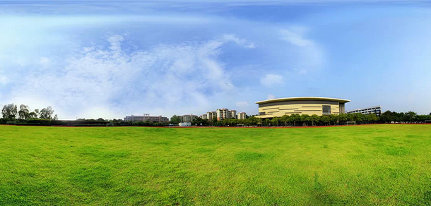 我的大學(xué)-大學(xué)志