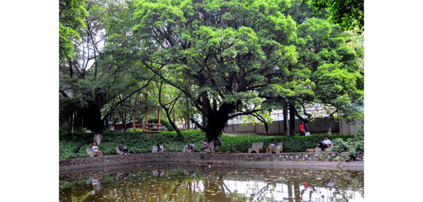 廣東第二師范學院 - 最美大學