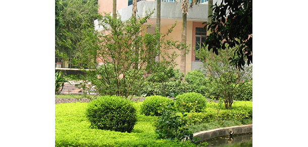 廣東第二師范學院 - 最美大學