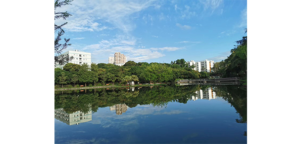深圳職業(yè)技術大學 - 最美大學