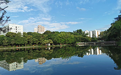 深圳職業(yè)技術大學 - 我的大學