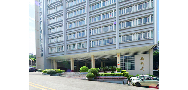 我的大學(xué)-大學(xué)志