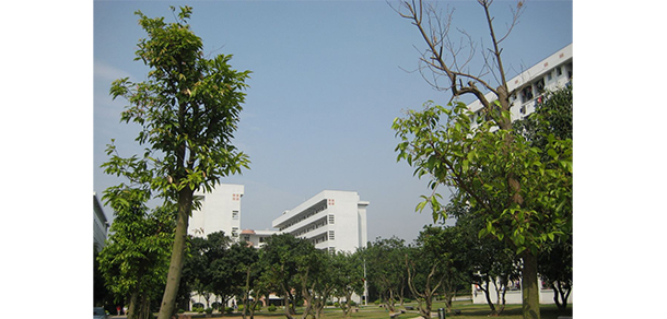 揭陽職業(yè)技術(shù)學院 - 最美大學