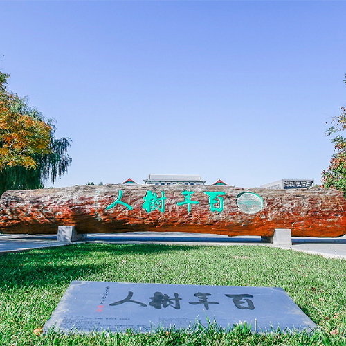 大學簡介