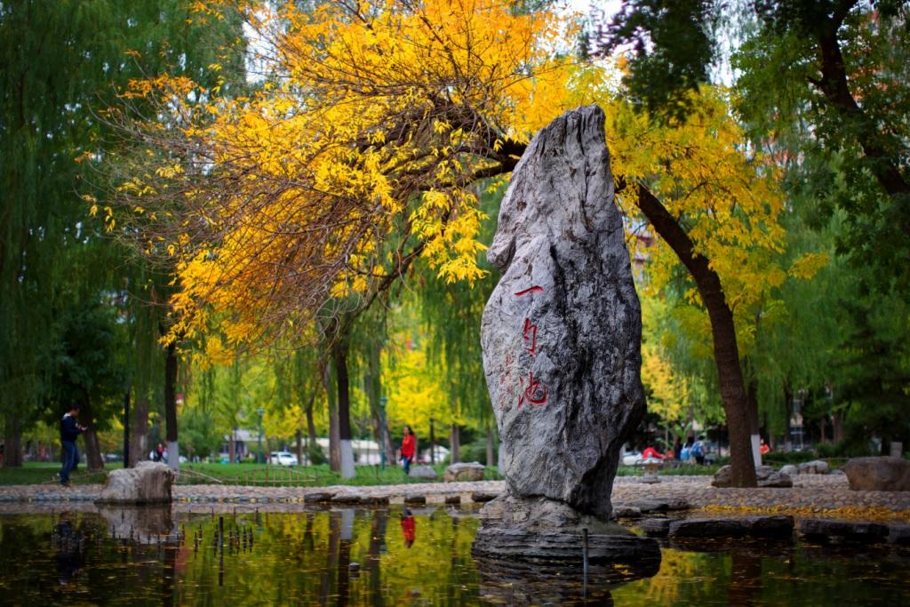 中國(guó)人民大學(xué) 我的大學(xué)