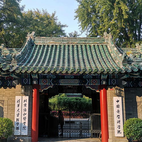 你好青春