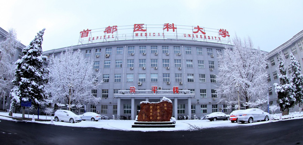 大學校志：校名、校標、校訓、?；?、校旗、校歌