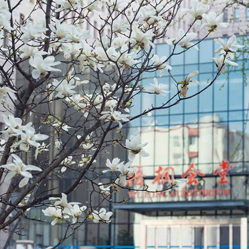 北京語言大學(xué)-最美校園