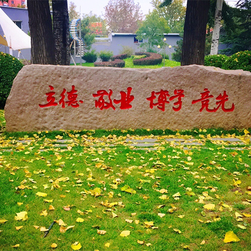 流金歲月