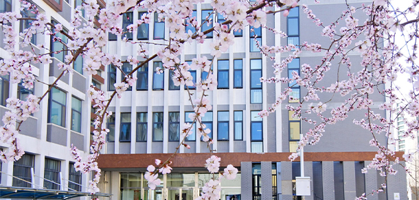 中央財經(jīng)大學 - 最美大學