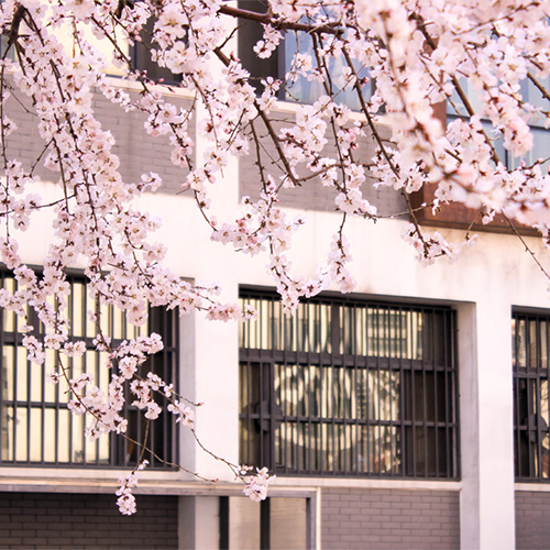 中央財經(jīng)大學(xué)-大學(xué)文化