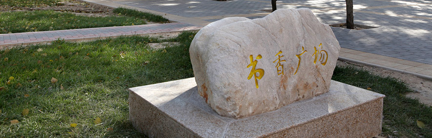 對(duì)外經(jīng)濟(jì)貿(mào)易大學(xué) 早安青春