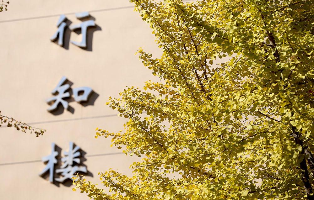 首都經(jīng)濟貿易大學 早安青春