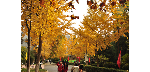 中國勞動(dòng)關(guān)系學(xué)院 - 最美大學(xué)