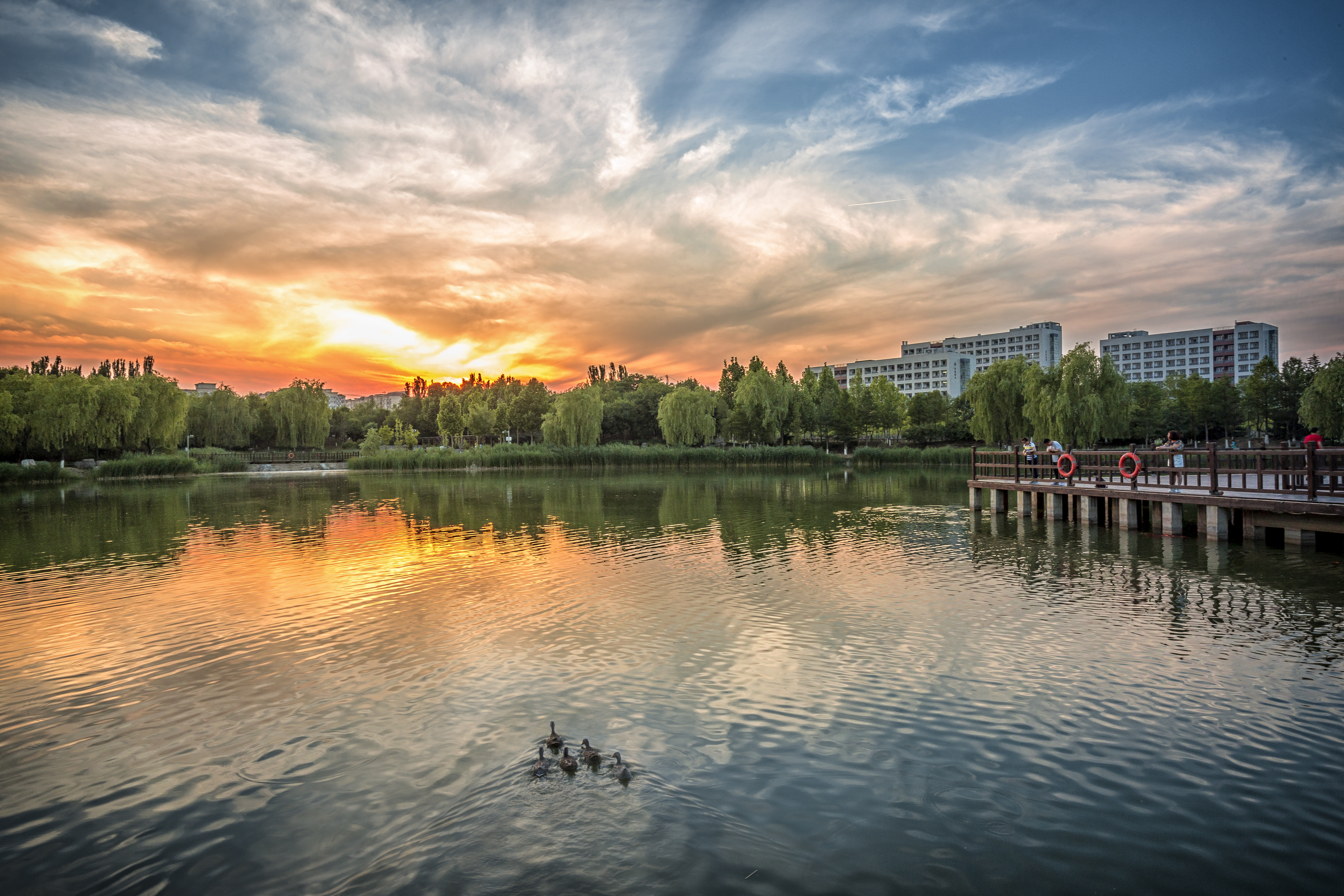 北京理工大學-校園風景