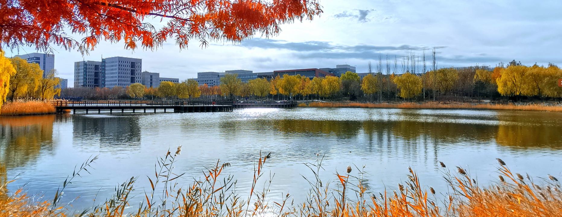 北京理工大學-校園風景