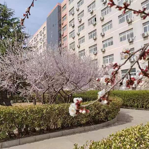 大學(xué)簡介