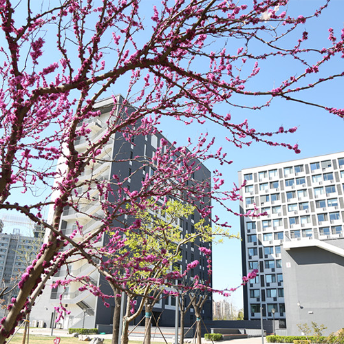 北京經(jīng)濟管理職業(yè)學院-大學文化