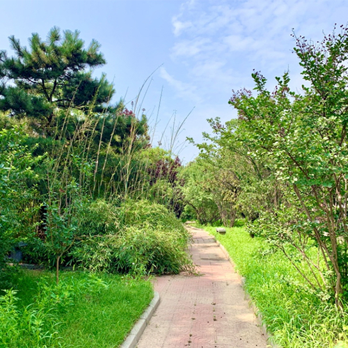 最美大學
