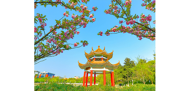 我的大學(xué)-大學(xué)志