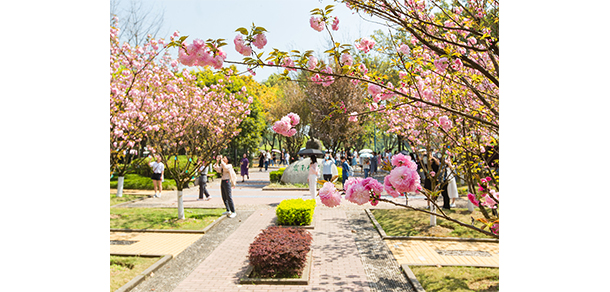 我的大學(xué)-大學(xué)志